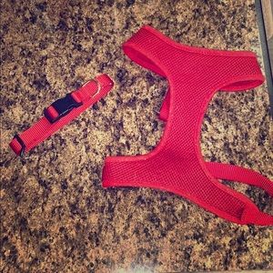 Red dog collar and harness